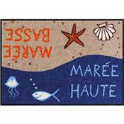 Tapis d'Entre Mare haute - Mare basse