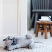 Cale Porte Animal - Chat - Cappuccino le chat joueur