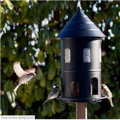 Mangeoire Oiseaux Géante Noire