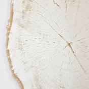 Miroir Design Tronc Arbre Arbo Gold L