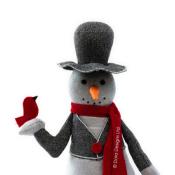 Cale Porte Frosty le Bonhomme de Neige