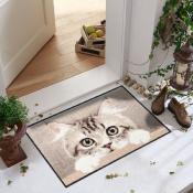 Tapis paillasson Chat curieux  50x75cm