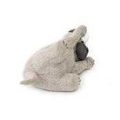 Cale Porte Animal - Chat - Cappuccino le chat joueur
