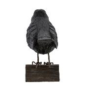 Décoration en bois sculpté main - Merle Noir - Wildlife Garden
