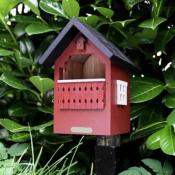 Mangeoire Oiseaux Nichoir Oiseaux Balcon Rouge