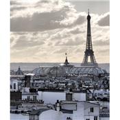 Trompe l'Oeil Porte Toits de Paris