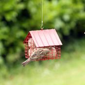 Mangeoire pour oiseaux du ciel extérieur design sur pied - PRÊT A